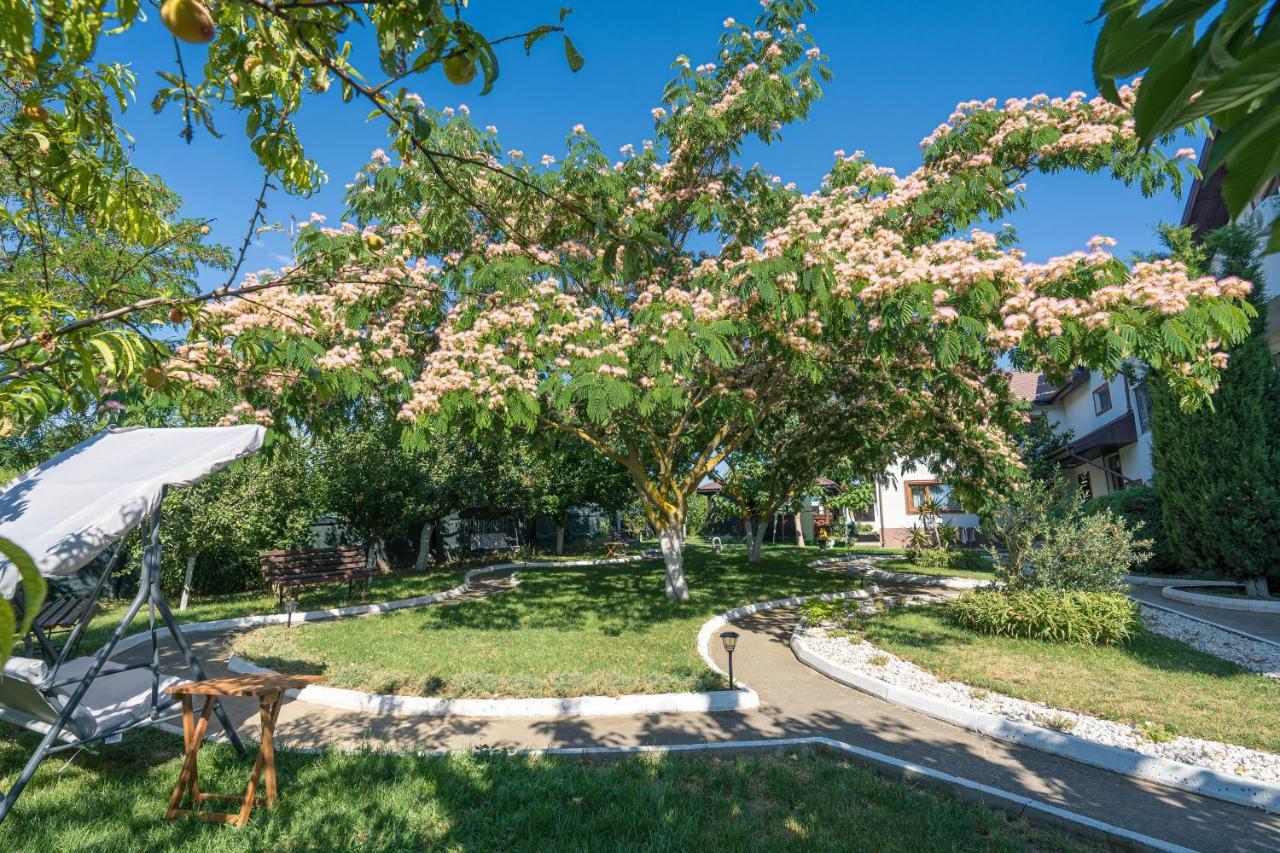 Vila Cataleya فينوس المظهر الخارجي الصورة